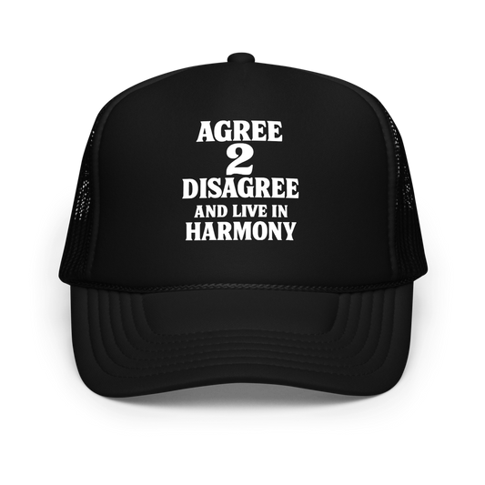 AGREE 2 DISAGREE AND LIVE IN HARMONY Hat